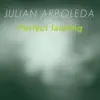 Julian Arboleda - Perfect Landing - Single